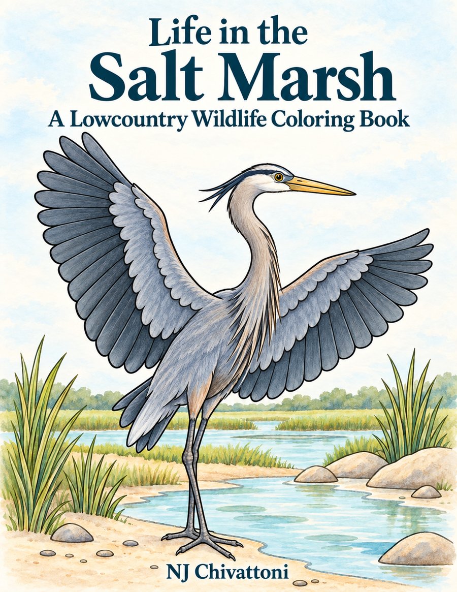Front cover of Life in the Salt Marsh.